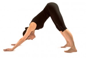 Adho Mukha Savasana (Downward facing dog pose)