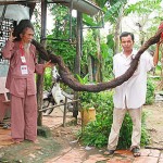 tran-van-hay-the-tallest-hair-6-8-m-muong-khong-vietnam+12970743498-tpfil02aw-9607